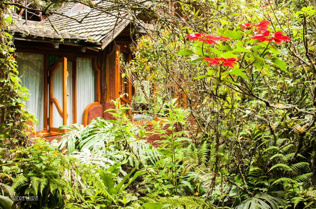 Finca Chamanapamba Guest House Баньос Экстерьер фото